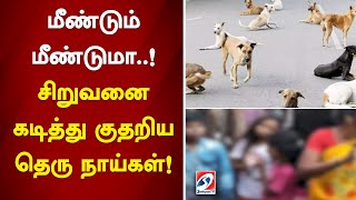 மீண்டும் மீண்டுமா..! சிறுவனை கடித்து குதறிய தெரு நாய்கள்..|sathiyamtv