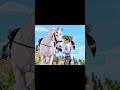 R.I.P Violet Flowergarden 1999-2023 #rip #sad  #horseriding #starstable #wemissyou #flowergarden