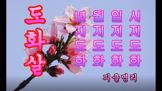 12신살 6-2 도화살, 년지도화 월지도화 일지도화 시지도화 ★ 피클의 행복한 명리