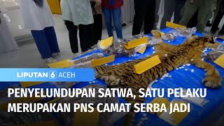 Penyelundupan Satwa, Satu Pelaku Merupakan PNS Camat Serba Jadi | Liputan 6 Aceh