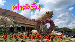 เต่าสะเร็น ของฝากเมืองสุรินทร์