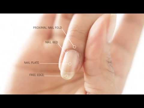 HOW TO REMOVE CUTICLES WITHOUT BLEEDING! | abetweene HOW TO REMOVE CUTICLES WITHOUT BLEEDING! | abetweene