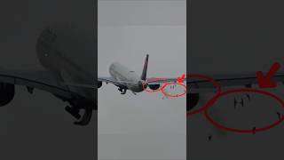 Bird Strike SHUTS DOWN Delta Engine During Takeoff ✈️😱