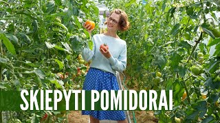 Skiepyti pomidorai: nu žinokit, verta pabandyti