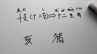 【中国語レッスン】中国語講座  干支の中国語を紹介篇  え！中国は今年がブタとし❓‼️