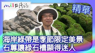 海岸綠帶是季節限定美景　石蓴讓綠石槽顯得迷人｜新北市石門區 麥覺明【 ‪‪‪‪ ‪‪‪‪‪‪‪‪‪‪@ctvmit  677集】