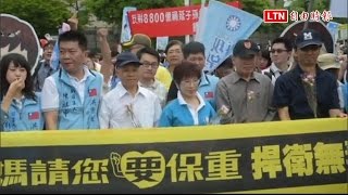 國民黨無毒家園遊行 洪秀柱到綠營黨部門口踢館