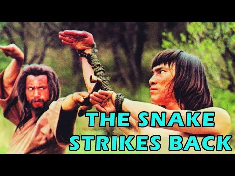 Snake Strikes Back - Full Movie Wu Tang Collection