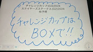 チャレンジカップ(G3)2024・ステイヤーズステークス(G2)2024他予想ｰ2024年11月30日(土)分