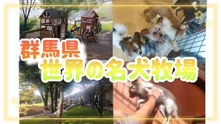 【群馬おでかけ！】世界の名犬牧場に言ってみた！