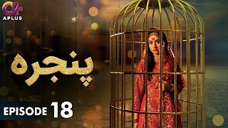 Pakistani Drama | Pinjra - Episode 18 | Aplus Gold | Yumna Zaidi, Nauman Aijaz | CZ1O