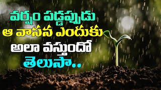 వర్షం పడ్డప్పుడు ఆ వాసన ఎందుకు అలా వస్తుందో తెలుసా...l top 10 facts in telugu l krishfacts in telugu