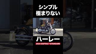 シンプル極まりないハーレー‼️2024 SOFTAIL™ STANDARD　#harleydavidson#softailstandard