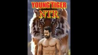 NTR Powerful Entry in Aravind Sametha Veera Raghava Movie | ntr | trivikram