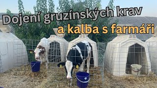 Opili jsme se s gruzínskými farmáři a dojili jsme gruzínské krávy - Stopování po Gruzii 9. díl