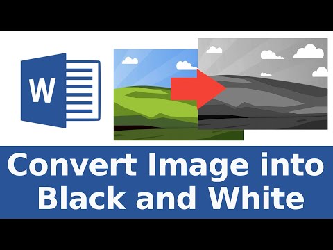 How to Convert Image into Black and White in Microsoft Word