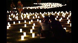 夏の古都彩る「なら燈花会」