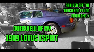 My 1989 Lotus Esprit Turbo (overview after arrival) Part 11