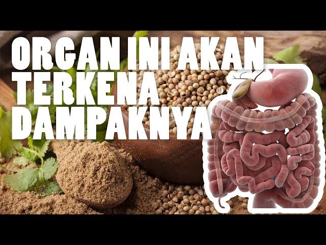 8 Manfaat Ketumbar Yang Jarang Diketahui Dan Wajib Anda Ketahui