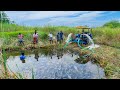 Pond Water Fish Catching and Cooking Fish Gravy in our Village | country fish curry