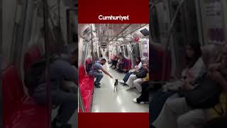 İstanbul metrosunda sevimli kedinin yolculuğu kamerada