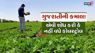 Junagadh News: જૂનાગઢ સંશોધન કેન્દ્રએ રિસર્ચ કરી હૃદયરોગ અને અન્ય બીમારી માટે ફાયદાકારક રહે તેવી મગફ