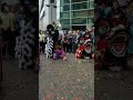 黄黑黑红舞狮 yellow black black red lion dance