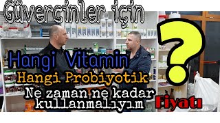 GÜVERCİNLER İÇİN VİTAMİN PROBİYOTİK VE DEZENFEKTANLAR İLE İLGİLİ GENELBİLGİLER