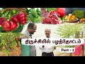 🌱Pt 2 கிரீன்லேன்ட் அமைத்த திருச்சி பழத்தோட்டம் 👬 2 Brothers from Trichy Elevate Their Exotic Farm🍍🍇🍈