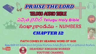 సంఖ్యాకాండము/NUMBERS// CH: 12 IN TELUGU AUDIO BIBLE