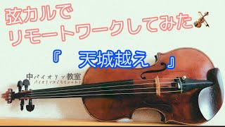 【弦カル】「天城越え」弾いてみた🎻