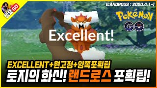 [포켓몬고] 랜드로스 잡는법 원고정\u0026엑설런트 포획팁! 토지의 화신 랜드로스를 잡아보자 | 쟁요GO