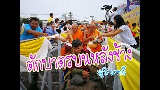 ตักบาตรบนหลังช้าง หนึ่งเดียวในโลก ที่ จังหวัดสุรินทร์