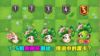 PVZ：1-5阶刺眼花艺妓测评：1-5阶都刮痧！可能是废卡？【庄先森解说】