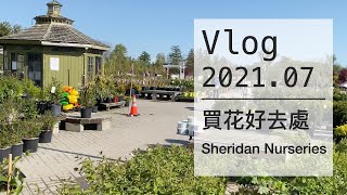 Vlog 2021.07 【買花好去處】Sheridan Nurseries - 多倫多生活