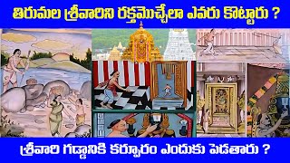 తిరుమల శ్రీవారి గడ్డానికి గాయం ఎలా అయింది? | Tirumala ananthalwar old history | TTD Latest Updates