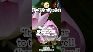Buddha Quotes | Top Best WhatsApp Status | Daily Wisdom | Zen Motivation & Life Attitude #shorts 15