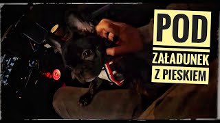 Pod załadunek z pieskiem 🐶 | Jedną nogą w domu 😅