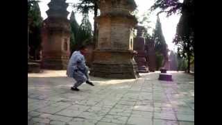 少林七星拳 Shaolin QiXing Quan