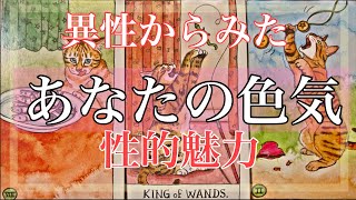 (男性視点からみた)あなたの色気、性的魅力(セクシャリティ）とは【タロット占い】