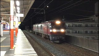 【ジョイント音が良い感じ】西浦和駅を通過するEH500初期車牽引の貨物列車 #shorts #shortsvideo #shortsyoutube #金太郎 #高速通過 #武蔵野線