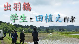 出羽鶴の田植え（秋田大学生と共に）