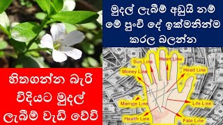 මුදල් ලැබීම් අඩුයි නම් මේ පුංචි දේ ඉක්මනින්ම කරල බලන්න | හිතගන්න බැරි විදියට මුදල් ලැබීම් වැඩි වේවි