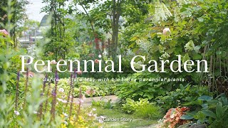 Early summer garden colored with perennial plants, hydrangea and color leaves  《Gardening》