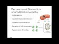 Doxorubicin Induced Cardiomyopathy