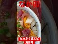 【なか卯】 【たっぷり甘えび海鮮丼✨】甘えび増量‼️グレードアップして新発売っ‼️ shorts