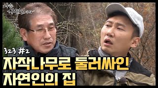 [자연인] 저절로 느껴지는 맑은 공기! 자작나무로 둘러싸인 자연인의 집 (#2/5)