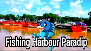 Paradip Fishing Harbour/ପାରାଦୀପ ମାଛ ଧରା ବନ୍ଦର @TakluAnna