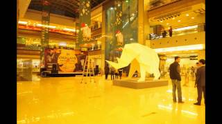 世界最大折纸白犀牛The Largest Origami White Rhino——刘通Liu Tong