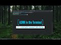 [ASMR] In the Terminal - C++ /w Qt Framework & no IDE - Making a button.[No Talking] [Typing Sounds]